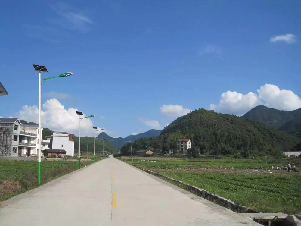 汉中城固某农村道路太阳能路灯项目