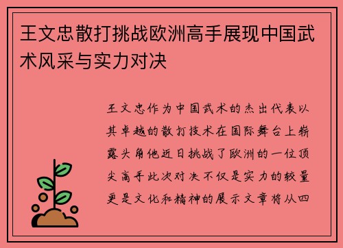 王文忠散打挑战欧洲高手展现中国武术风采与实力对决